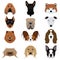 Set of Dog Vectors and Icons
