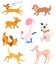 Set of dogs of different breeds. Funny animals. Fluffy Human Pet Friends. Different type of cartoon dogs. Corgi, poodle, mongrels