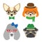 Set of dogs portraits. Chihuahua, pug, poodle, pomeranian glasses wearing glasses and accessories in flat style.