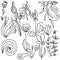 A set of doodle curls, twigs and flowers to create decorative patterns or print