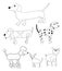 Set of Doodle Dogs Cartoons Illustrations Poodle Bulldog