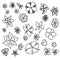 Set of doodle flowers elemets, outline blooming plants