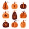 Set of doodle pumpkins in various shapes. Autumn ornamental vegetables.