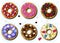 A set of doughnuts with icing and different toppings. Cakes with fruit, berries, powders, marshmallows, marmalade