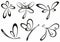 Set of dragonfly silhouettes, insects, on white background. Tattoo art for your design.