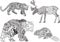 A set of drawings of animals in the ethnic