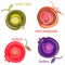 Set of drawings apple pomegranate blueberry cowberry on white background. Vector image in abstract style for logo design