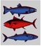 Set of drawings of different seafood. Good quality handmade. Engraving. Vector