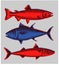 Set of drawings of different seafood. Good quality handmade. Vector