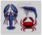 Set of drawings of different seafood. Good quality handmade. Vectro