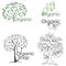 Set of drawings of trees and design elements related to the environment. Organic shop.