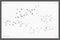 Set of drawn vector flock of birds, realistic drawings silhouettes, sketch