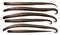 Set of dried organc vanilla sticks. Illustration.