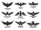 Set of Eagle or falcon black silhouettes