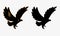 Set Of Eagles bird, animal Logo Silhouette