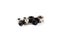 A set of ear tunnels of different sizes, black and chrome color on a white background. piercing  Isolate