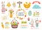 Set of Easter cartoon characters and design elements