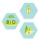 Set of eco, bio icons. Labels of organic products, the nature