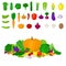Set of Eco fresh colorful vegetables on white background. Healthy lifestyle or diet vector design element. Healthy Food C