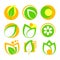 A set of ecological icons, leaves and abstract shapes in yellow-green colors.