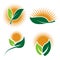 Set Ecology logos of green leaf nature element icon on white background . illustrator