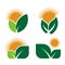 Set Ecology logos of green leaf nature element icon on white background . illustrator