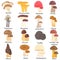 Set of edible and poison mushrooms color flat icons