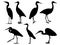 Set of egret bird silhouette vector art on a white background