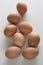 Set of eight ordinary chicken eggs on white