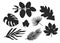 Set of eight silhouettes of leaves and twigs with leaves.