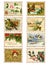 Set of eight vintage Christmas bird holly stamps