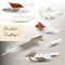 Set of elegant vector realistic feathers