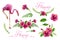 Set element. Hand drawn watercolor paintings with pink flamingo, foliage and Hibiscus rose flowers isolated on white background.