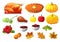 Set of element for Happy Thanksgiving Day on white background. Badge, icon, template an apple, cranberries, pumpkin pie, leaf