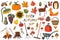 A set of elements on the theme of autumn. Forest animals, harvest. A large design collection of colored doodle elements with a