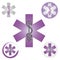 Set of Emergency Star Icons with Caduceus Symbol Purple - Health / Pharmacy