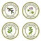 Set of essential oil labels: black spruce, geranium, cinnamon, m