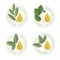 Set of essential oil labels se.