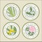 Set of essential oils labels