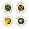 Set of essential oils labels. Ylang-ylang, neem, neroli, orange