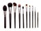 Set of essential professional make-up brushes