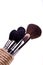 Set of essential professional make-up brushes