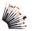 Set of essential professional make-up brushes are isolated with shadows on white background