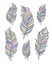 Set of ethnic bird feathers in boho style. Boho collection pastel colors vector hand drawn, tribal gipsy concept.