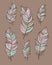 Set of ethnic bird feathers in boho style brown background. Boho collection pastel colors vector hand drawn.