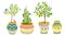 Set of ethnic ceramic pots with citrus trees and birds. Vector illustration.