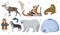 Set of ethnic Eskimos with polar animals. Polar owl, bear, walrus, deer. Vector illustration isolated on white background