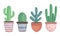 Set of exotic cactus plants in ceramic pots