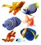Set of Exotic Colorful Fish.