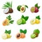 Set of exotic fruit. Vector illustration